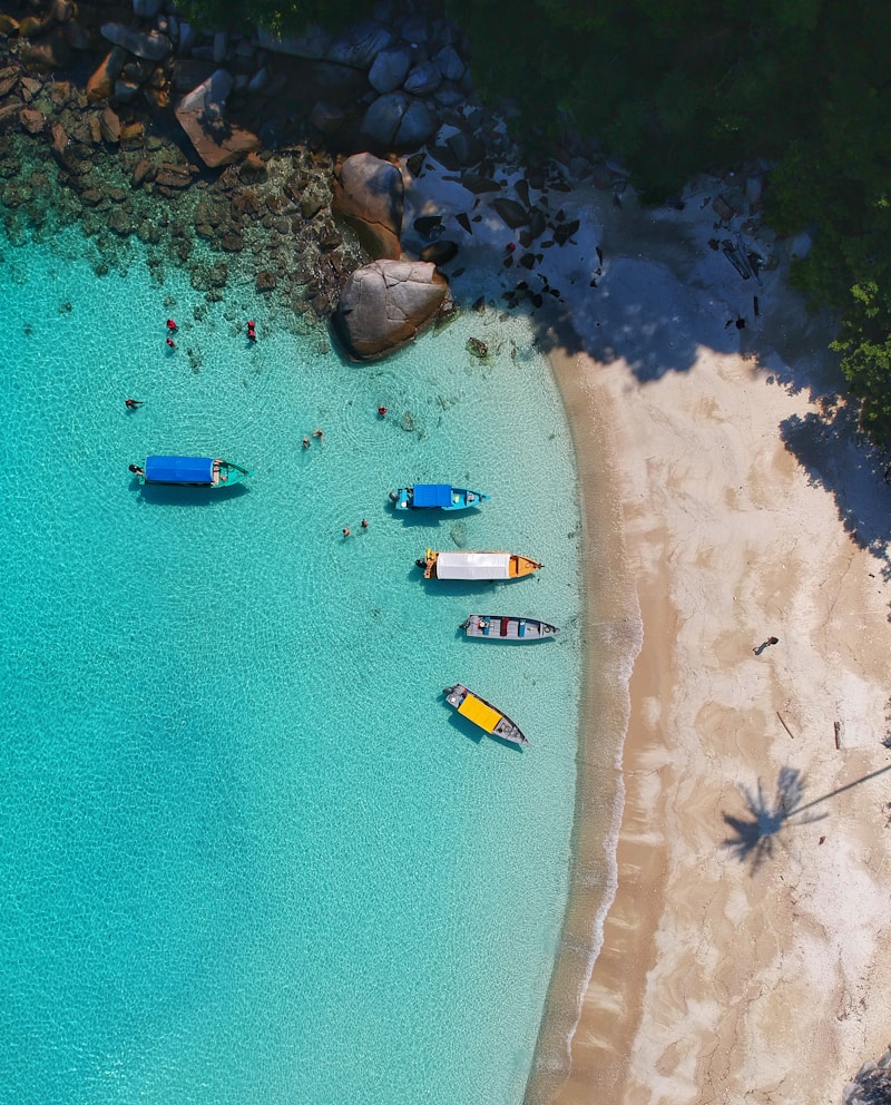 Beach-level view of the shipwreck